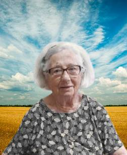 Imagem de capa do artigo